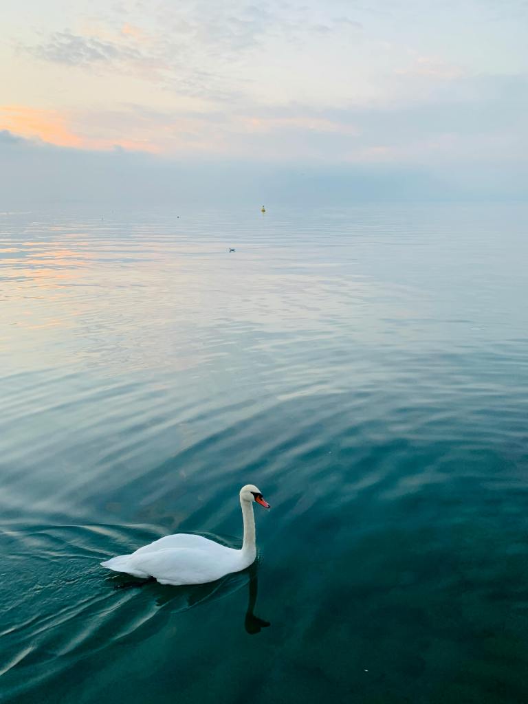 Photo d'un signe passant au premier plan sur un lac brumeux
